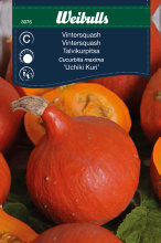 Græskar 'Uchiki Kuri'